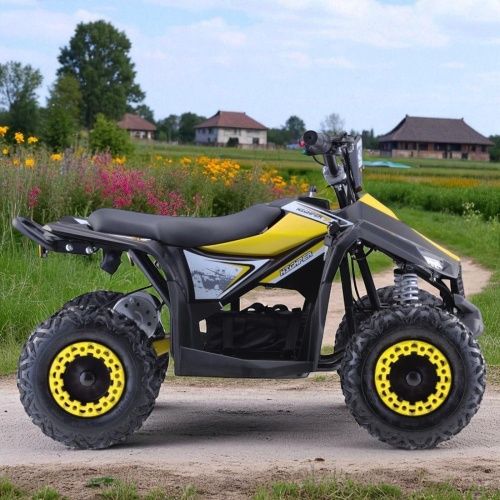 Картинка товара Под заказ! Детский электрический квадроцикл HIGHPER PA.ATV-11E.ZOL: 1000W, 48V, 35км/ч - ЖЕЛТЫЙ на Raspashonka.ua фото 5