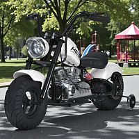 Детский мотоцикл M 6016 AL-1(36V) BAMBI RACER белый
