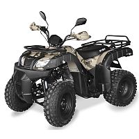 Квадроцикл SHINERAY ROVER 250 ПУСТЫННЫЙ КАМУФЛЯЖ