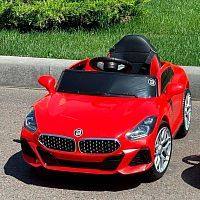 Фото анонса M 4613 EBLR-3 BMW от интернет магазина Raspashonka.ua