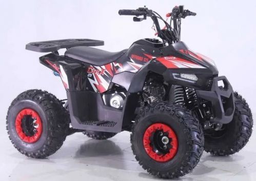 Картинка товара Ожидается! Квадроцикл детский CHiX 110; 107 см3; 43 км/ч; 135х79х90 см; КРАСНЫЙ на Raspashonka.ua фото 2