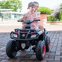 Фото анонса квадроцикл детский m 4868 el-3(24v) 10км/ч, 180w, без пульта - красный от интернет магазина Raspashonka.ua