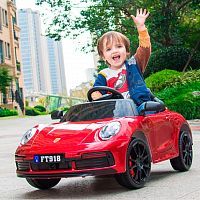 Фото анонса M 4699 EBLR-3 PORSCHE от интернет магазина Raspashonka.ua