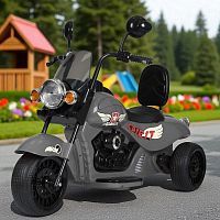 Фото анонса детский мотоцикл m 5739 el-11, bambi racer: 12v 7-9a, 70w, 7км/ч, eva, кожа - серый от интернет магазина Raspashonka.ua