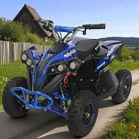 квадроцикл profi hb-eatv 1000q-4st(mp3) v2:  1000w/48v, mp3 - синий - Raspashonka.ua
