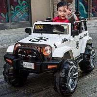 Детский электромобиль M 3635 EBLR-1