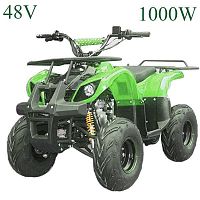 Квадроцикл PROFI HB-EATV 1000 D-5: 48V, 1000W, 45 км/ч : зеленый