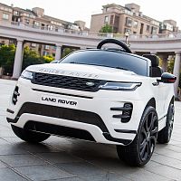 Фото анонса M 4418 (MP4) EBLR-1 RANGE ROVER от интернет магазина Raspashonka.ua
