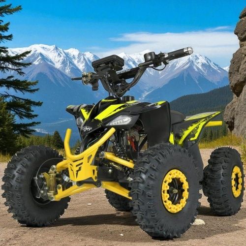 Картинка товара Квадроцикл PROFI HB-EATV08-350-6: ЖЕЛТЫЙ на Raspashonka.ua фото 2