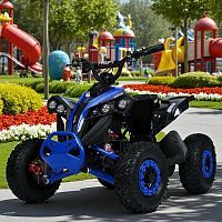 квадроцикл profi hb-eatv1000q-4st(mp3):  27 км/ч, 1000w/48v, bluetooth-плеер - синий - Raspashonka.ua