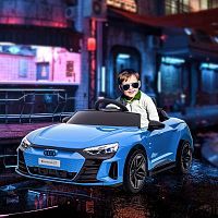 Фото анонса PA.QLS-6888.NIE AUDI от интернет магазина Raspashonka.ua