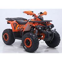 Фото анонса квадроцикл orix 125 b/s (balance shaft): оранжевый от интернет магазина Raspashonka.ua