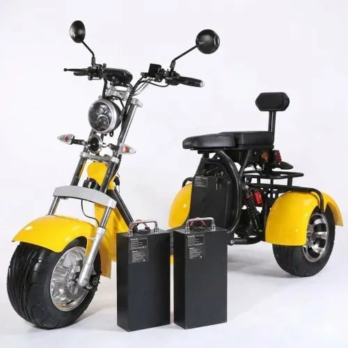 Картинка товара Электроскутер 3-х колесный CITYCOCO SMD-302: 2000W 60V 40Ah, скорость 45 км/ч - BLACK на Raspashonka.ua фото 14