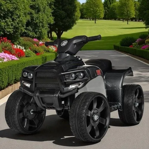 Картинка товара Детский квадроцикл M 3893 ELM-19:20W, EVA, кожа - ЧЕРНЫЙ на Raspashonka.ua фото 2